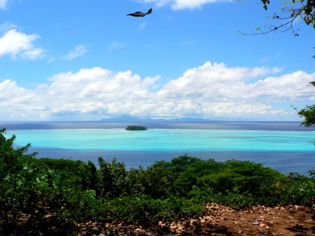 35- Le motu des oiseaux au bord du lagon 